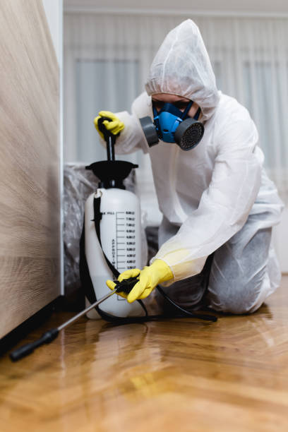 Professional Pest Control in Joppatowne, MD